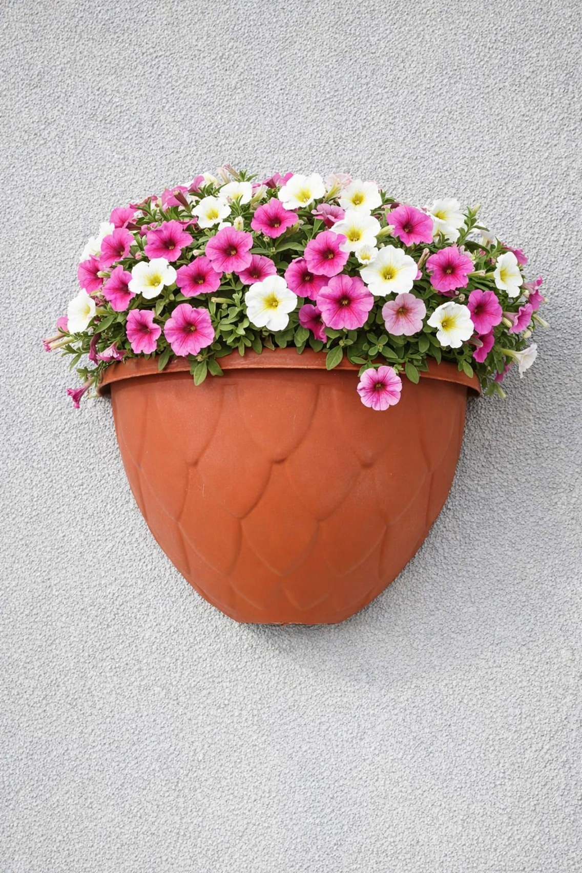 Serinova DD01 Damla Duvar Saksı No:1 - 1.4 Litre | ID2865