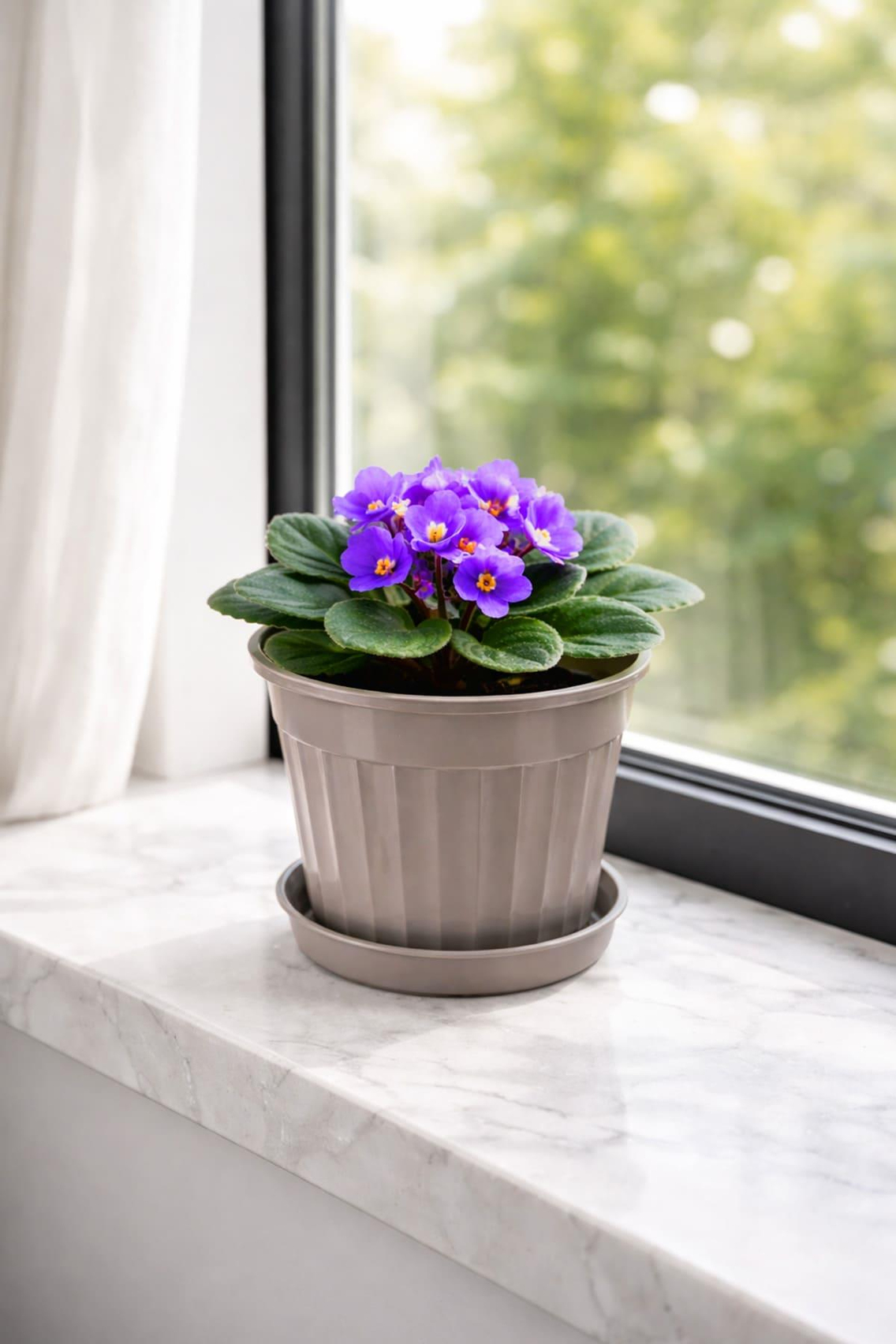Serinova S205 Klasik Salon Çiçek ve Bitki Saksısı No:5 - 1.7 Litre | ID2872