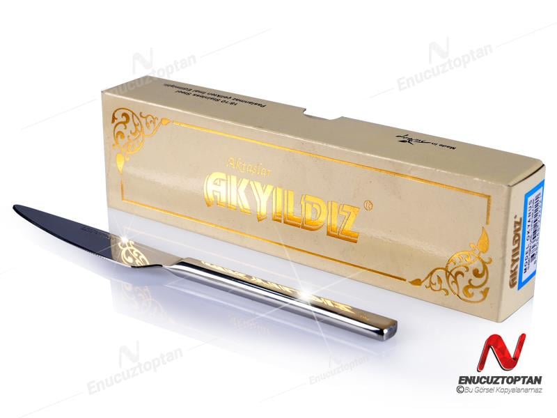 Akyıldız Okyanus 304 Paslanmaz Çelik Yemek Bıçağı 12li | ID4312