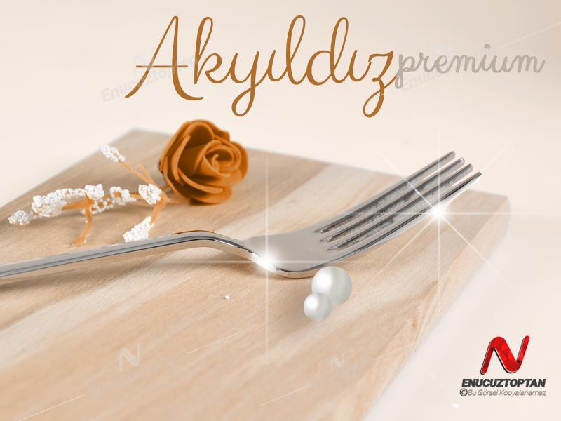 Akyıldız Okyanus 304 Paslanmaz Çelik Yemek Çatalı 12li | ID4333