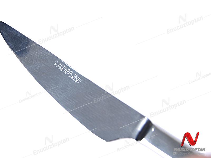 Akyıldız Salkım 304 Paslanmaz Çelik Yemek Bıçağı 12li | ID4322