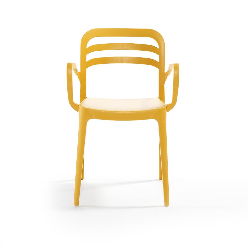 Alezy Aspendos Bahçe Balkon Renkli Koltuk Hardal | ID6352