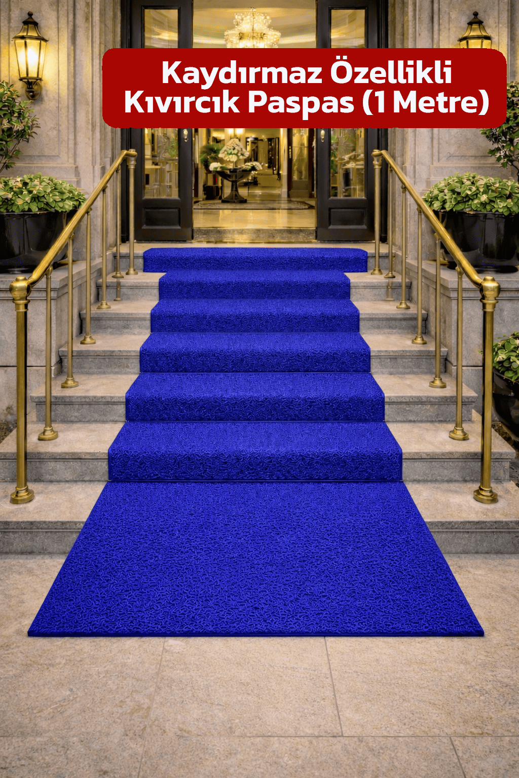 Alezy KPS Kaydırmaz Taban Kıvırcık Paspas Kapı Önü Paspası 1 Metre - Tüm Ebatlar