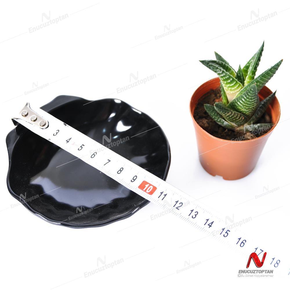 Göreme 525 Termostar Kırılmaz Melamin Midye Çerezlik Sosluk | ID4899