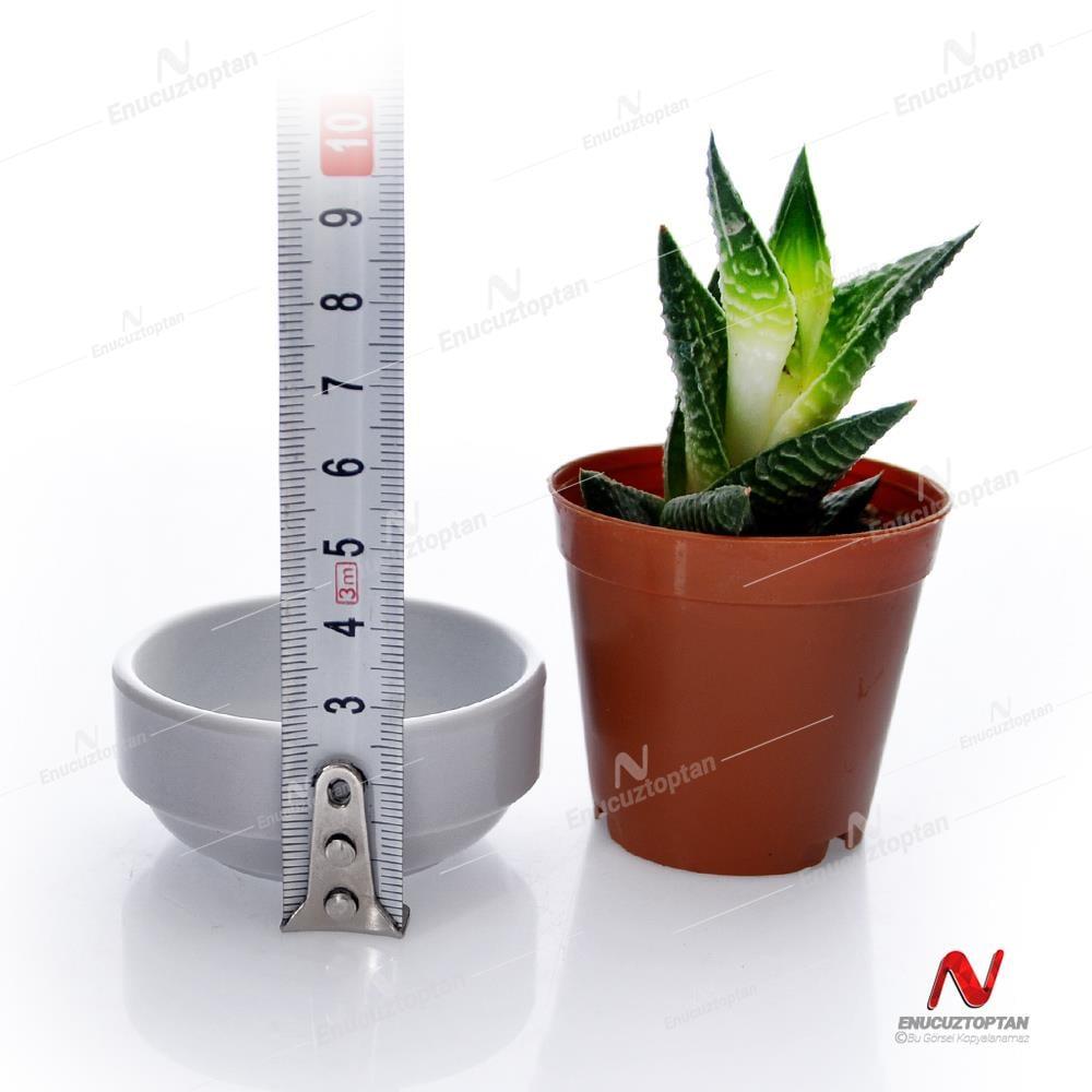 Göreme 529 Termostar Melamin Sosluk Yuvarlak 6 Santim Sosluk  | ID3200