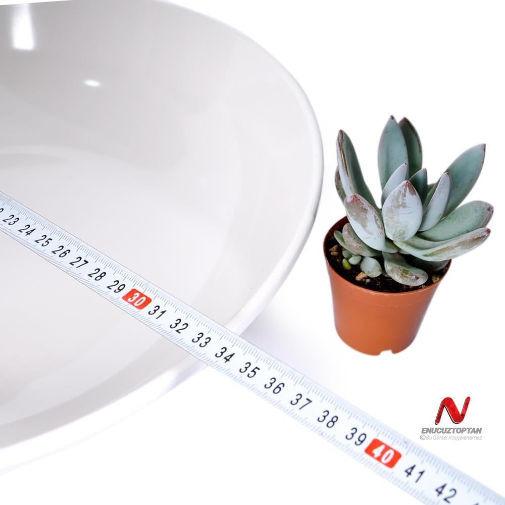 Göreme 549 Termostar Kırılmaz Melamin Yuvarlak Sunum Kasesi 33 cm  ID2980