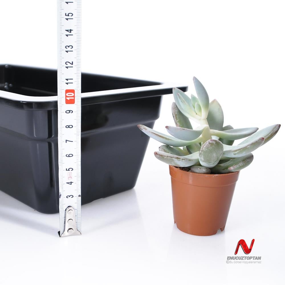 Göreme 563 Kırılmaz Melamin GN-Gastronorm Küvet Pan 1/3 100mm | ID4942