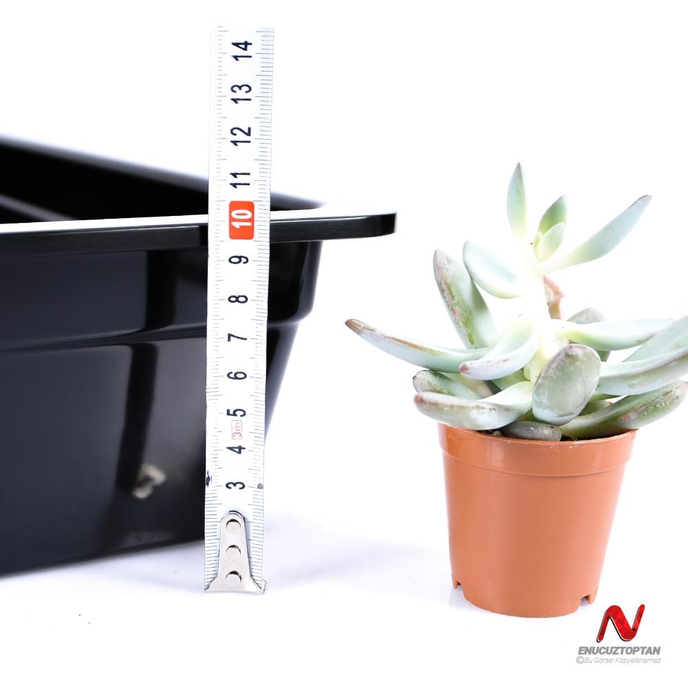 Göreme 568 Kırılmaz Melamin GN-Gastronorm Küvet Pan 1/1 100mm| ID4943