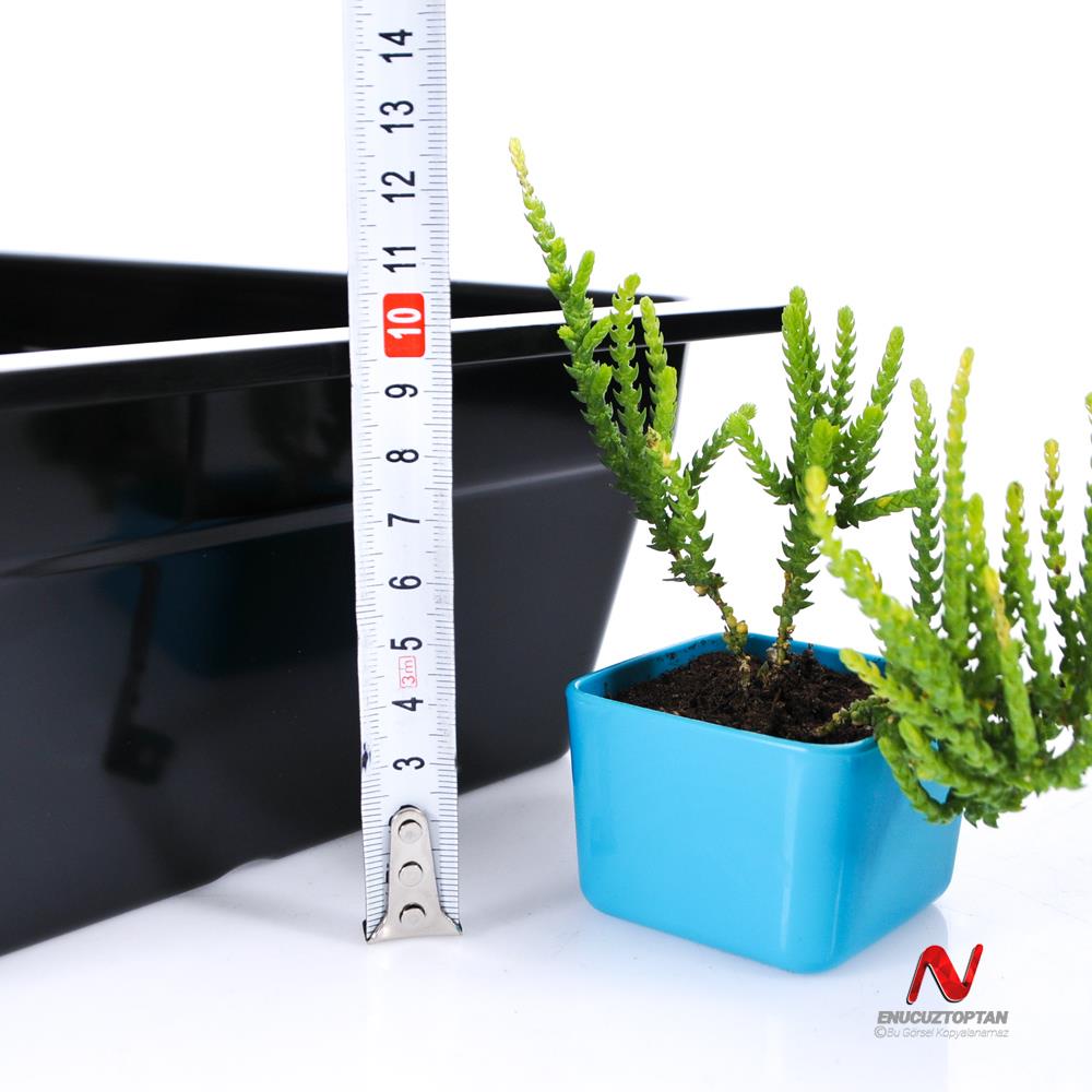 Göreme 617 Kırılmaz Melamin GN-Gastronorm Küvet Pan 1/2 100mm |ID4944