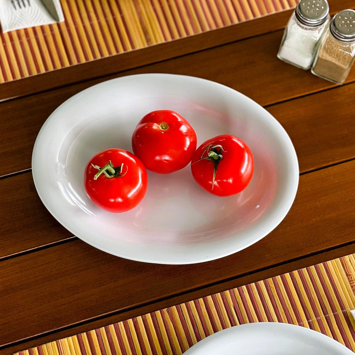 Göreme 628 Termostar Melamin Arya Kayık Tabak 28x22,5cm Beyaz