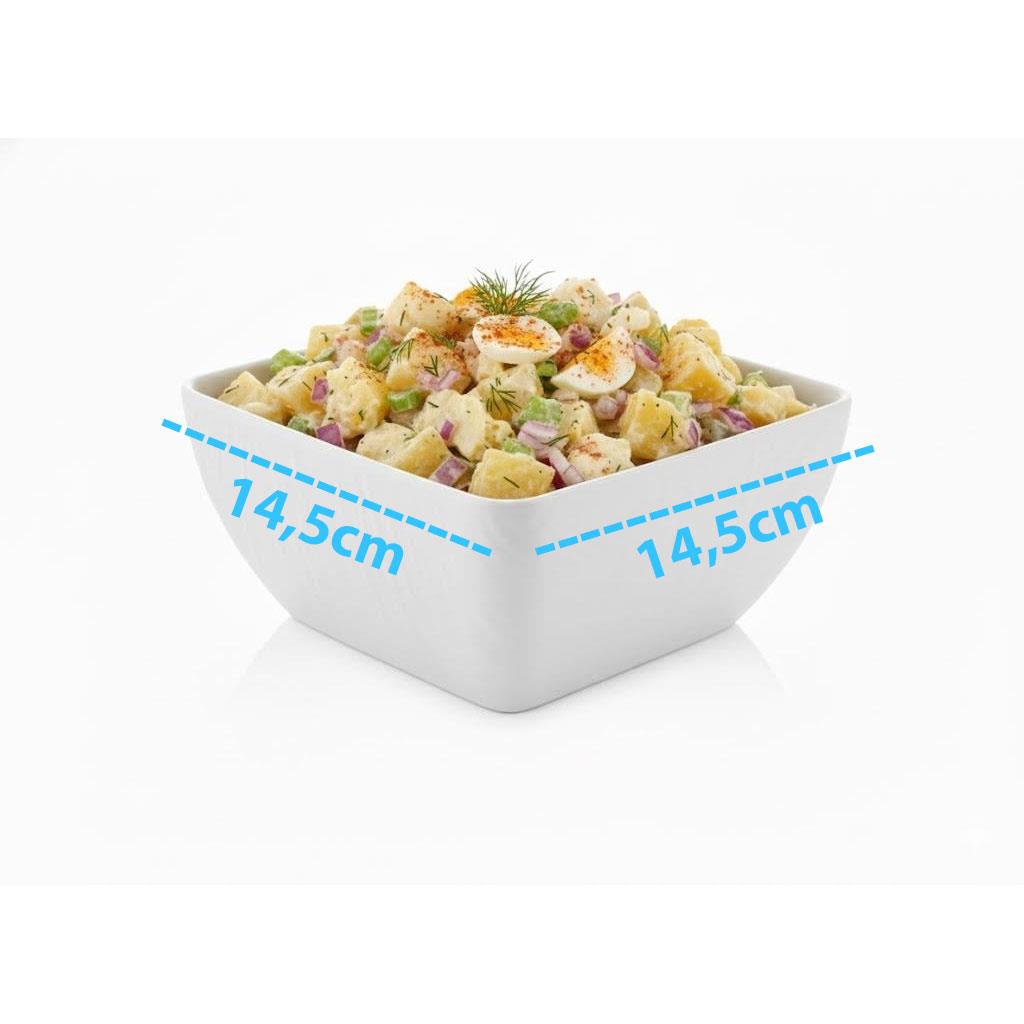 Göreme 9602 Termostar Kırılmaz Melamin Jumbo Kase 14,5x14,5cm