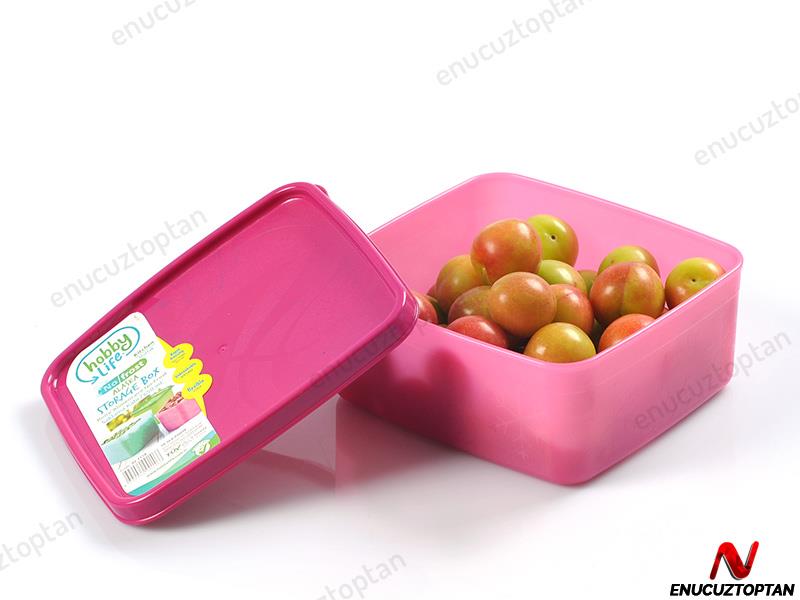 HobbyLife 02 1158 Alaska No-Frost Saklama Kabı 650ml | ID1924