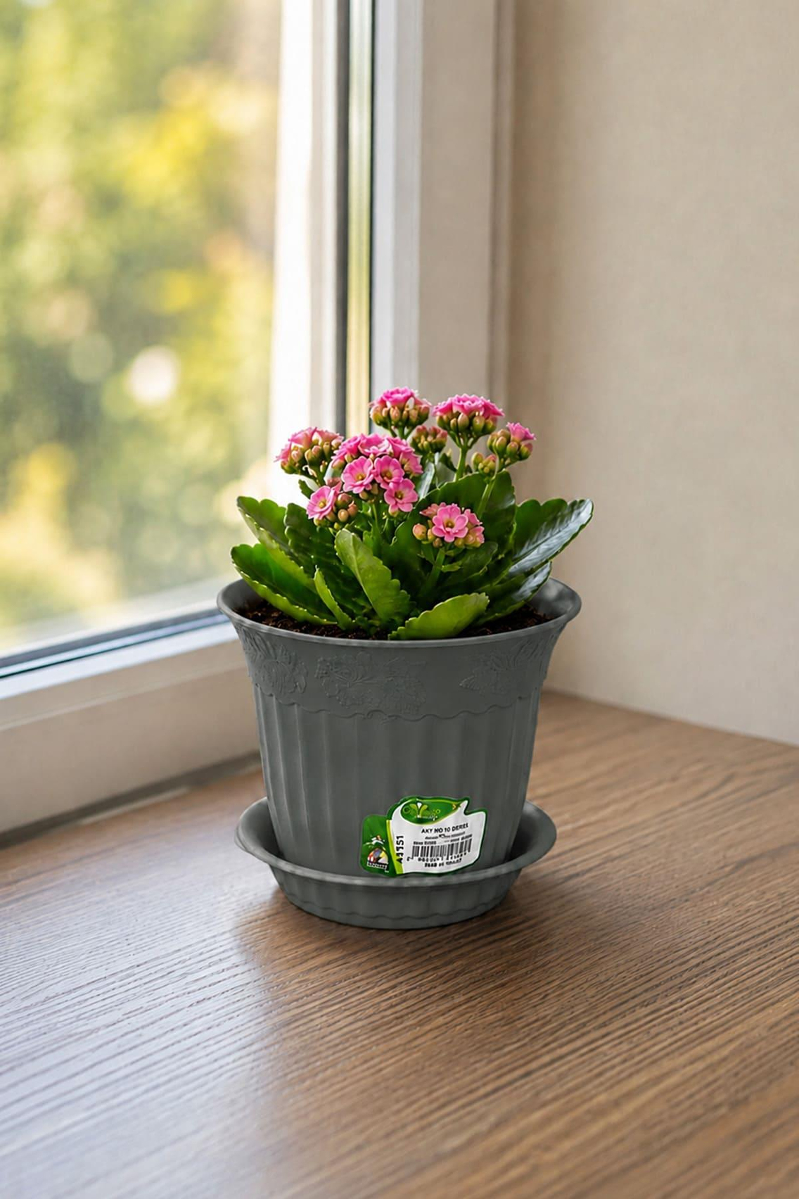 Irak Garden Flowers  AS151 Renkli Dekoratif Antik Saksı 1.1 Litre | ID1417
