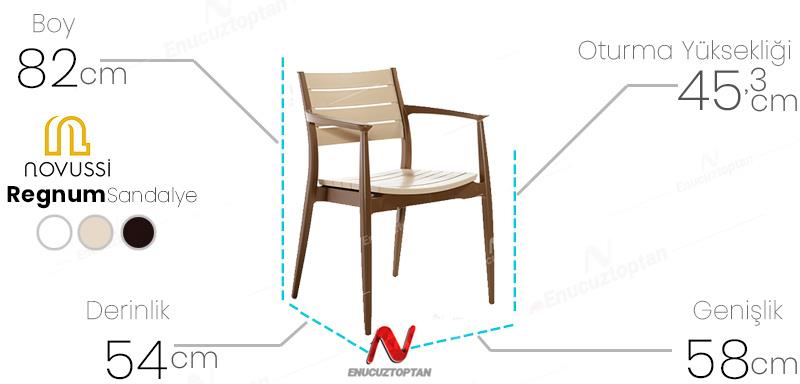 Novussi NST-012 Regnum Sandalye Çöl Kahvesi  | ID4666