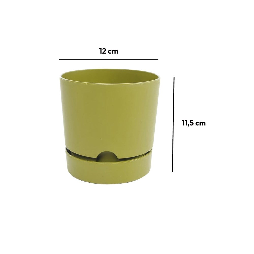 Poliwork 12 Begonya Bitki ve Çiçek Saksısı 1 Litre | ID5594