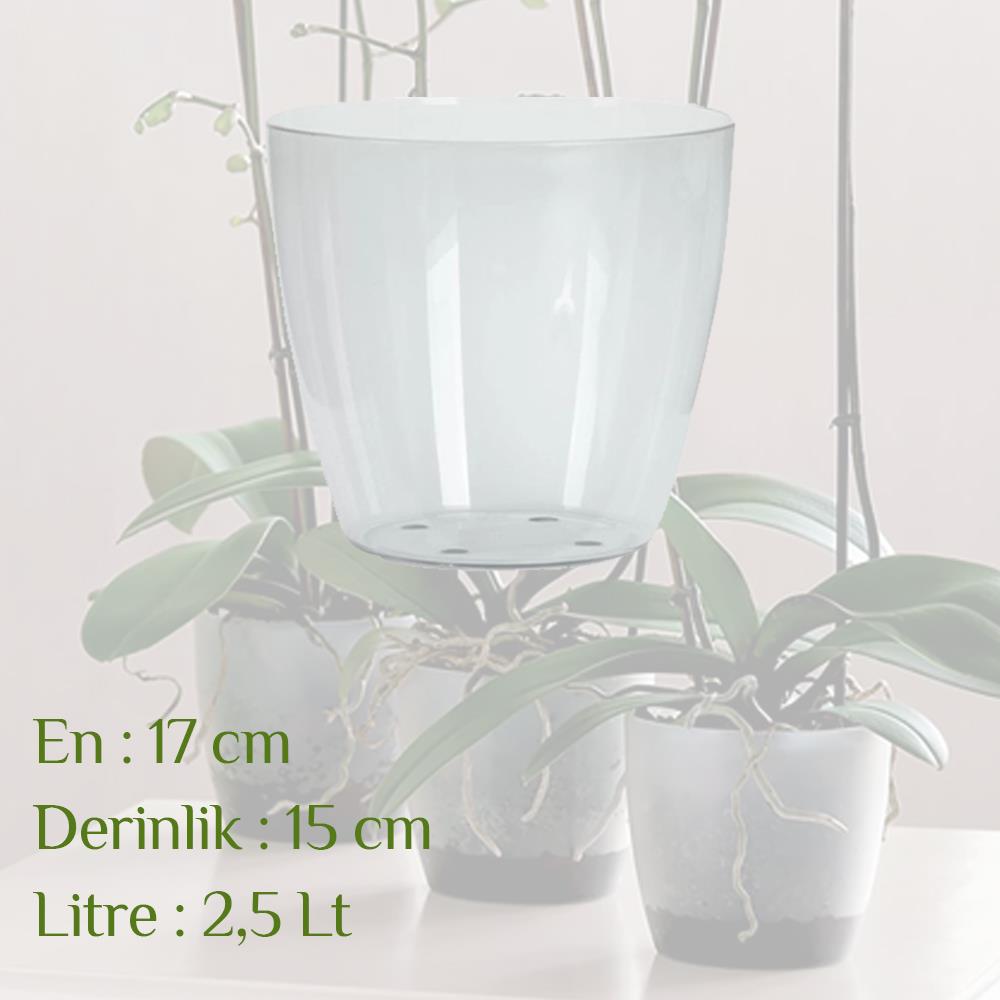 Poliwork Elata 17 Dekoratif Şeffaf Orkide Saksı 2.5 Litre | ID6055