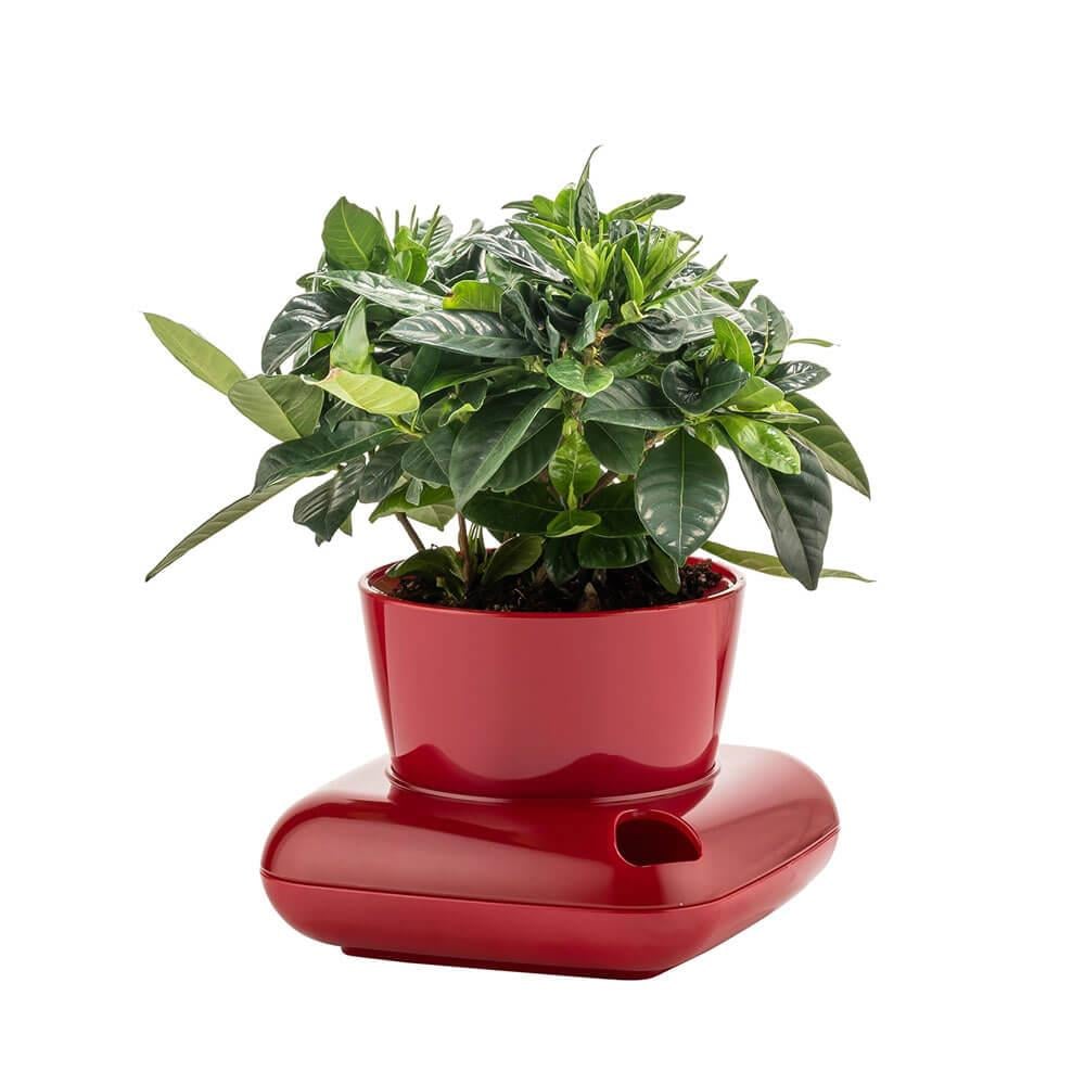 Poliwork GL Gala Dekoratif Tabaklı Saksı 3.5 Litre | ID5747