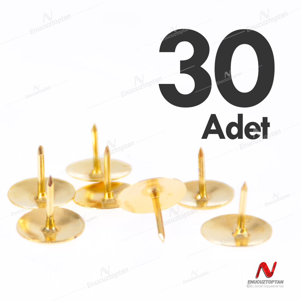 Raptiye 30 Adet Altın Renkli  | ID5110 