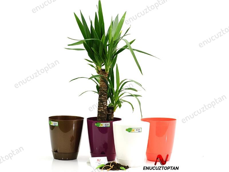 Şenyayla 5420 Decora Saksı No:4 - 6 Litre | ID1390