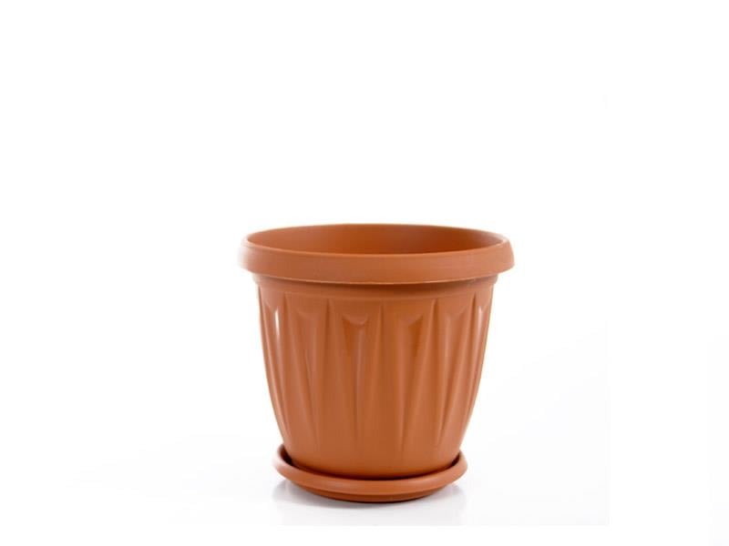 Şenyayla 5701 Ürgüp Saksı No:1 1lt | ID4741