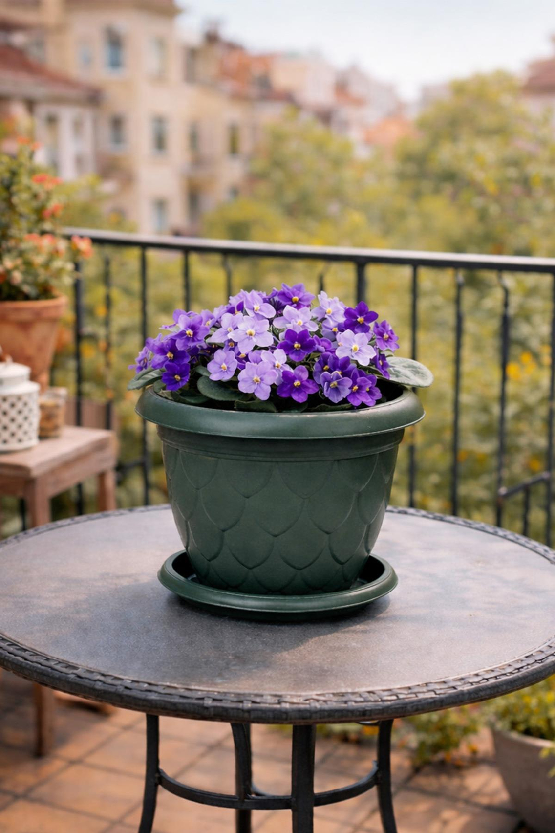 Serinova D006 Damla Saksı 5 Litre | ID1409