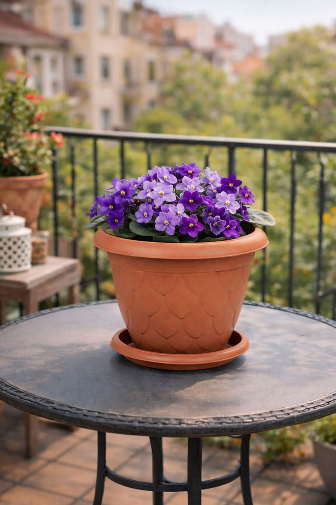 Serinova D006 Damla Saksı 5 Litre | ID1409