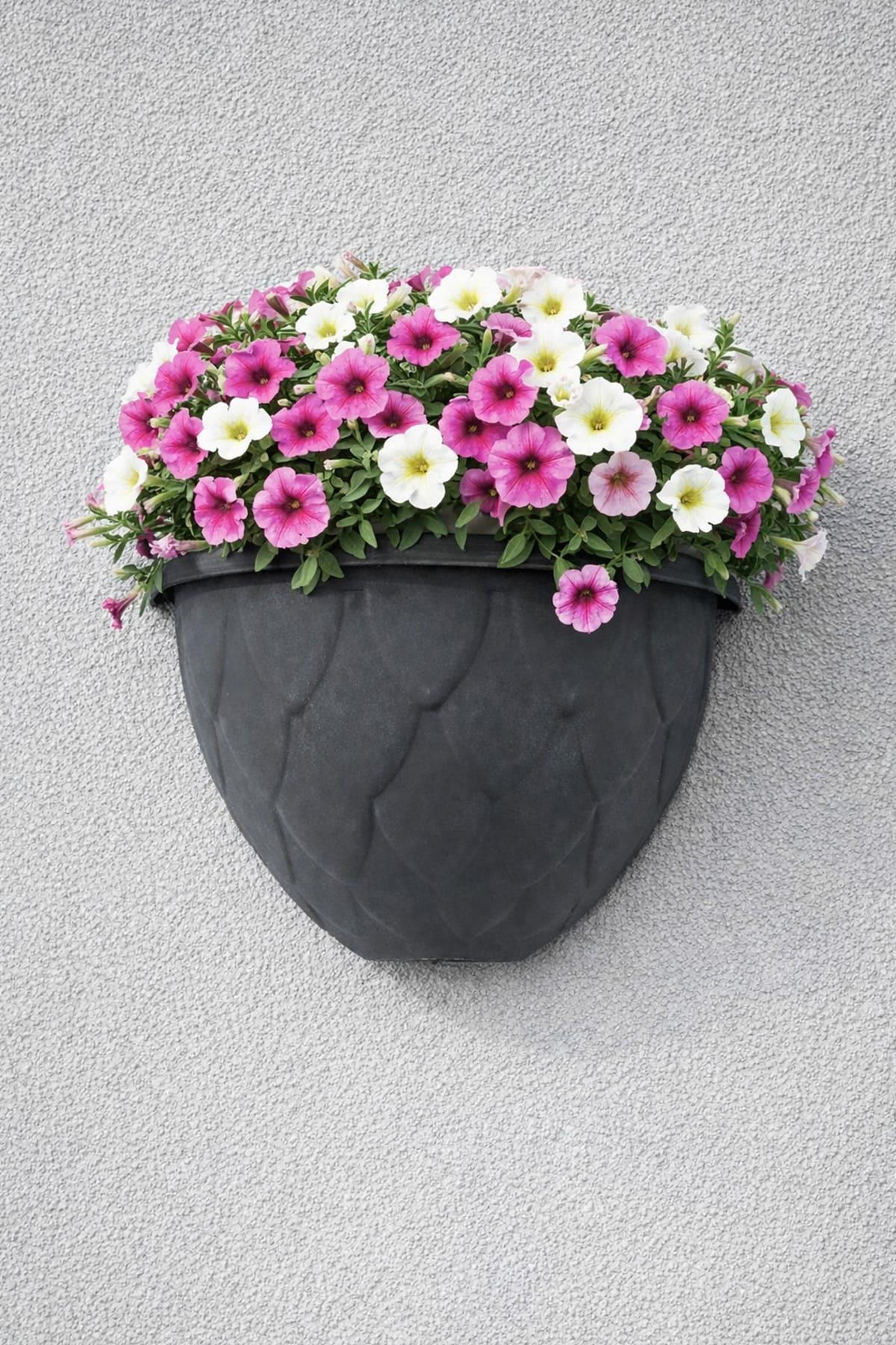 Serinova DD01 Damla Duvar Saksı No:1 - 1.4 Litre | ID2865