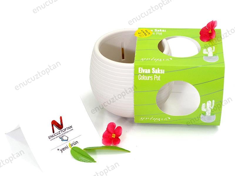 Serinova ES03 Elvan Bitki ve Kaktüs Saksısı 0.51 Litre | ID1316
