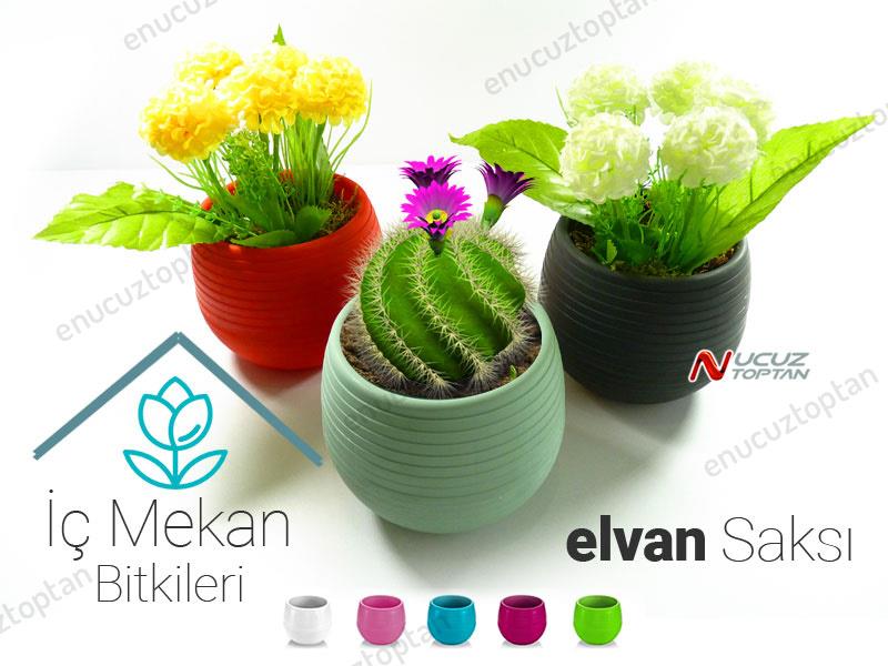 Serinova ES03 Elvan Bitki ve Kaktüs Saksısı 0.51 Litre | ID1316