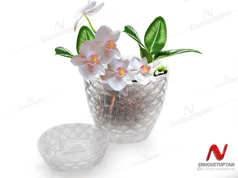 Serinova KAP1 Kapadokya Orkide Şeffaf Saksı No:1 - 0,5 Litre | ID5470
