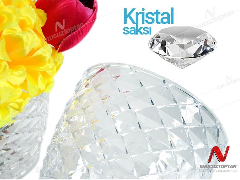 Serinova KAP2 Kapadokya Orkide Şeffaf Saksı No:2 - 1.4 Litre | ID2889