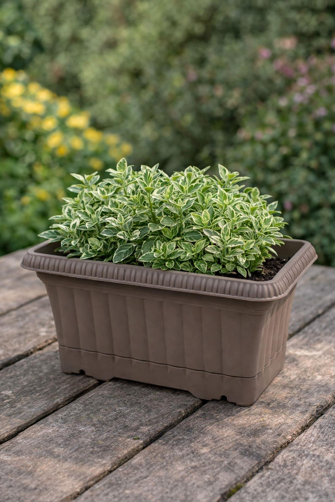 Serinova OB01 Ova Balkon Saksı No:1 - 3.5 Litre | ID2211