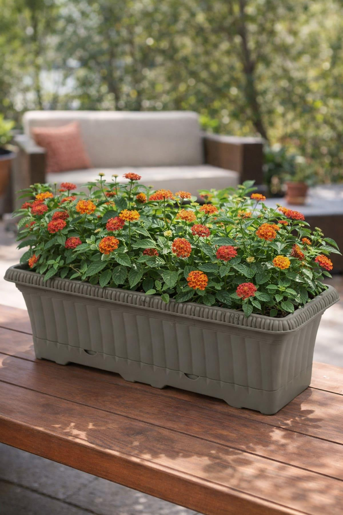 Serinova OB02 Ova Balkon Saksı No:2 - 5.7 Litre | ID2212