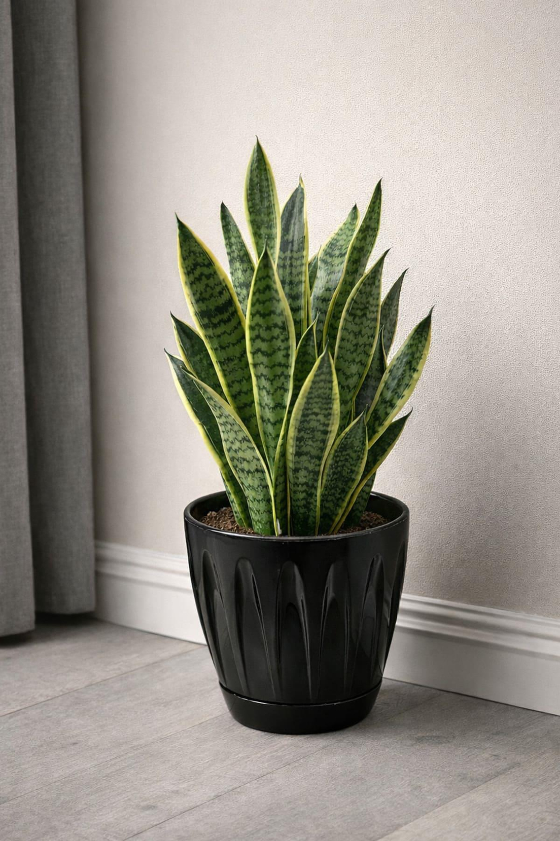 Serinova P005 Papatya Saksı 12 Litre | ID1356