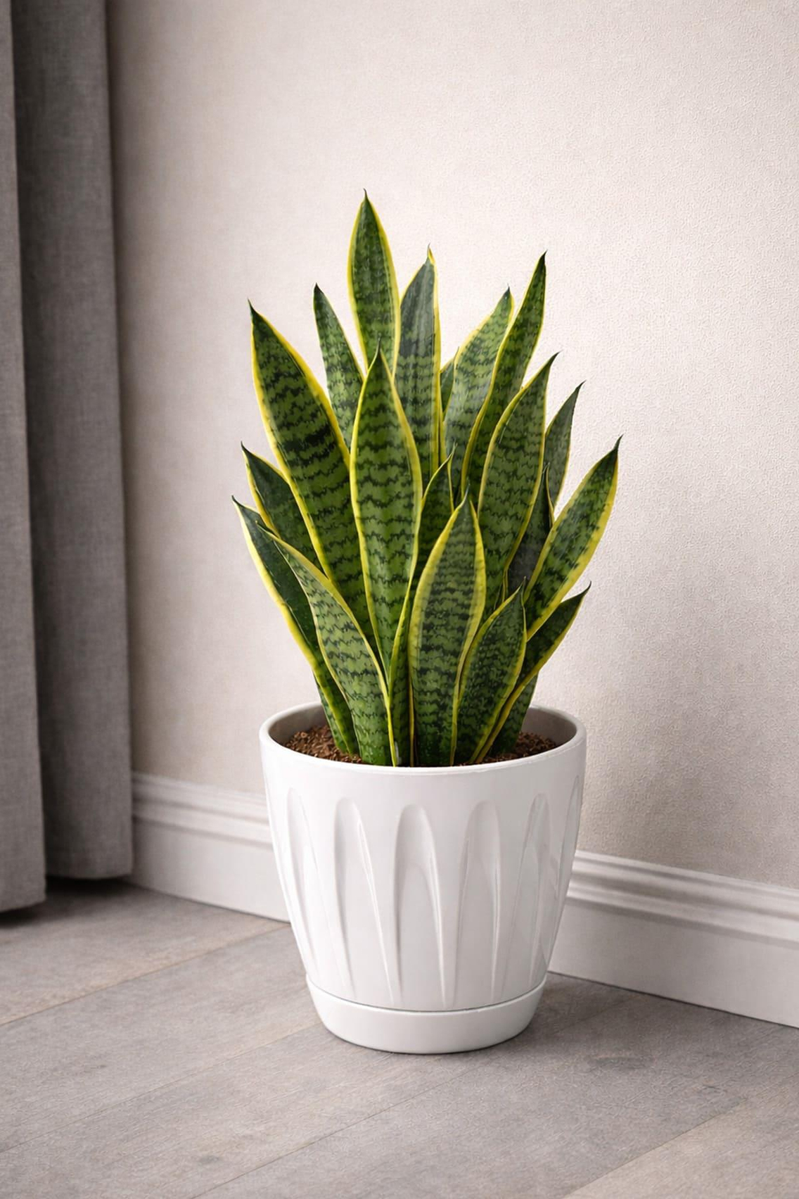 Serinova P005 Papatya Saksı 12 Litre | ID1356