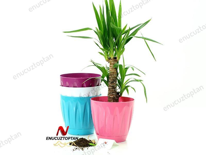 Serinova P005 Papatya Saksı 12 Litre | ID1356