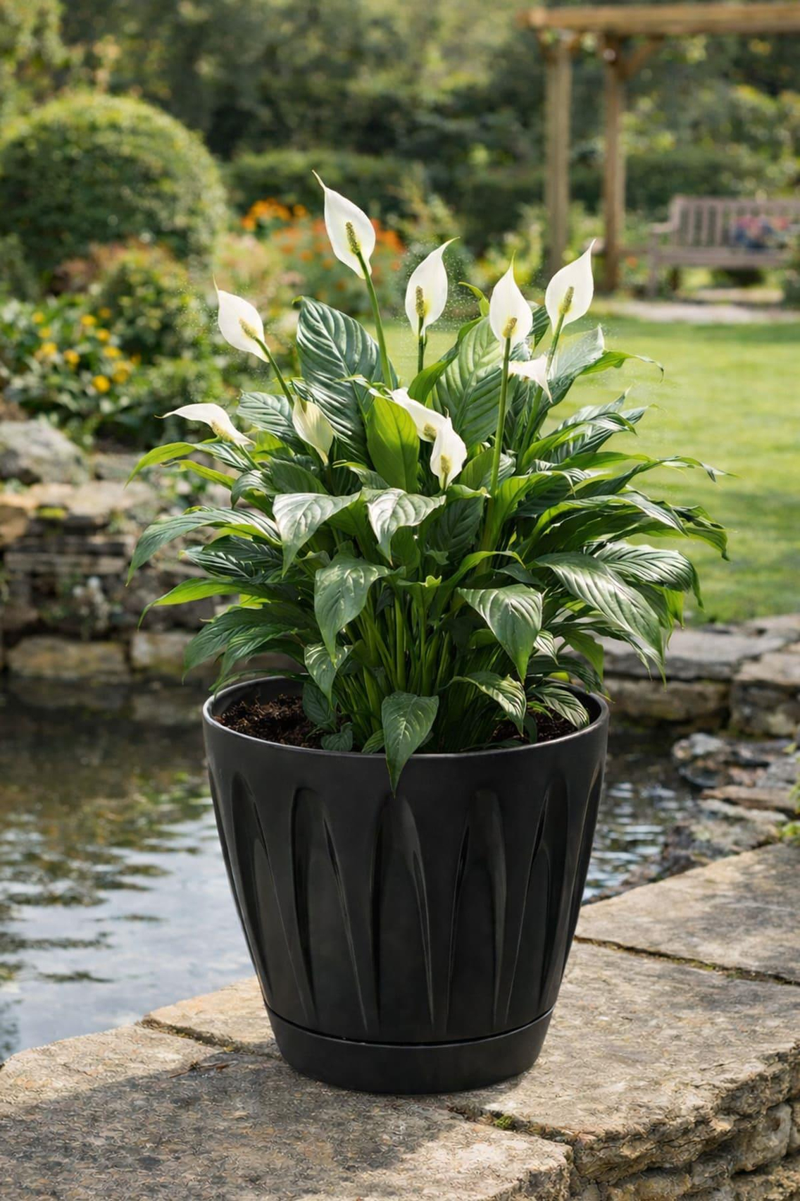 Serinova P006 Papatya Saksı 22 Litre | ID1357