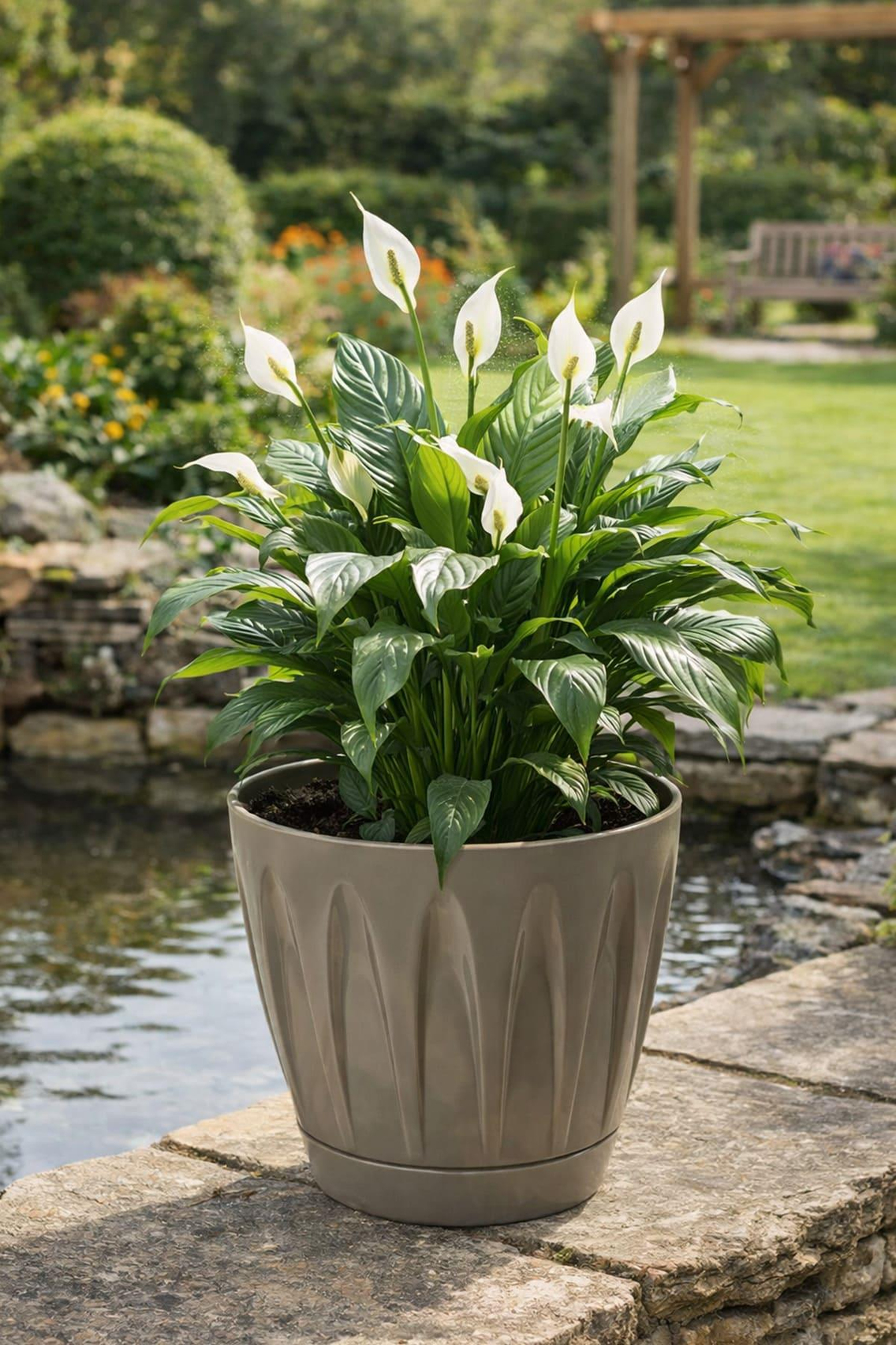 Serinova P006 Papatya Saksı 22 Litre | ID1357