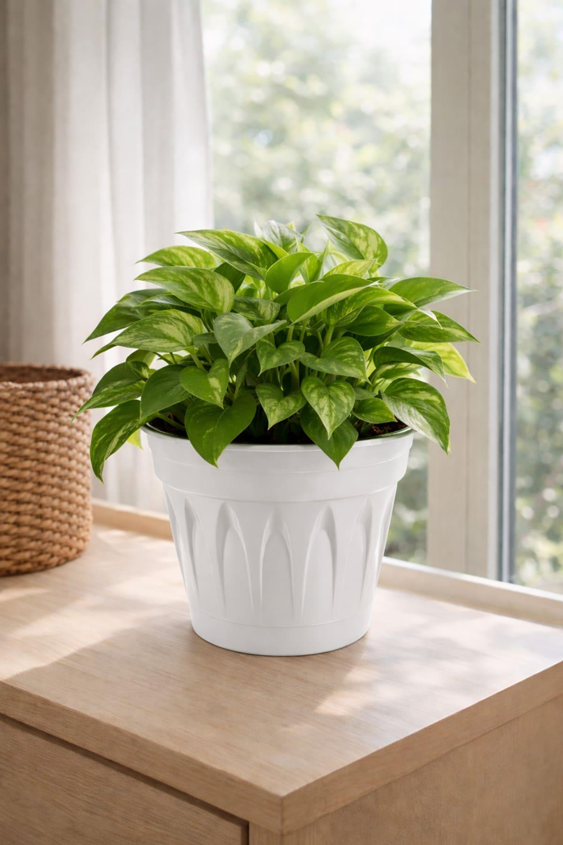 Serinova R005 Revak Saksı 3.3 Litre | ID1343