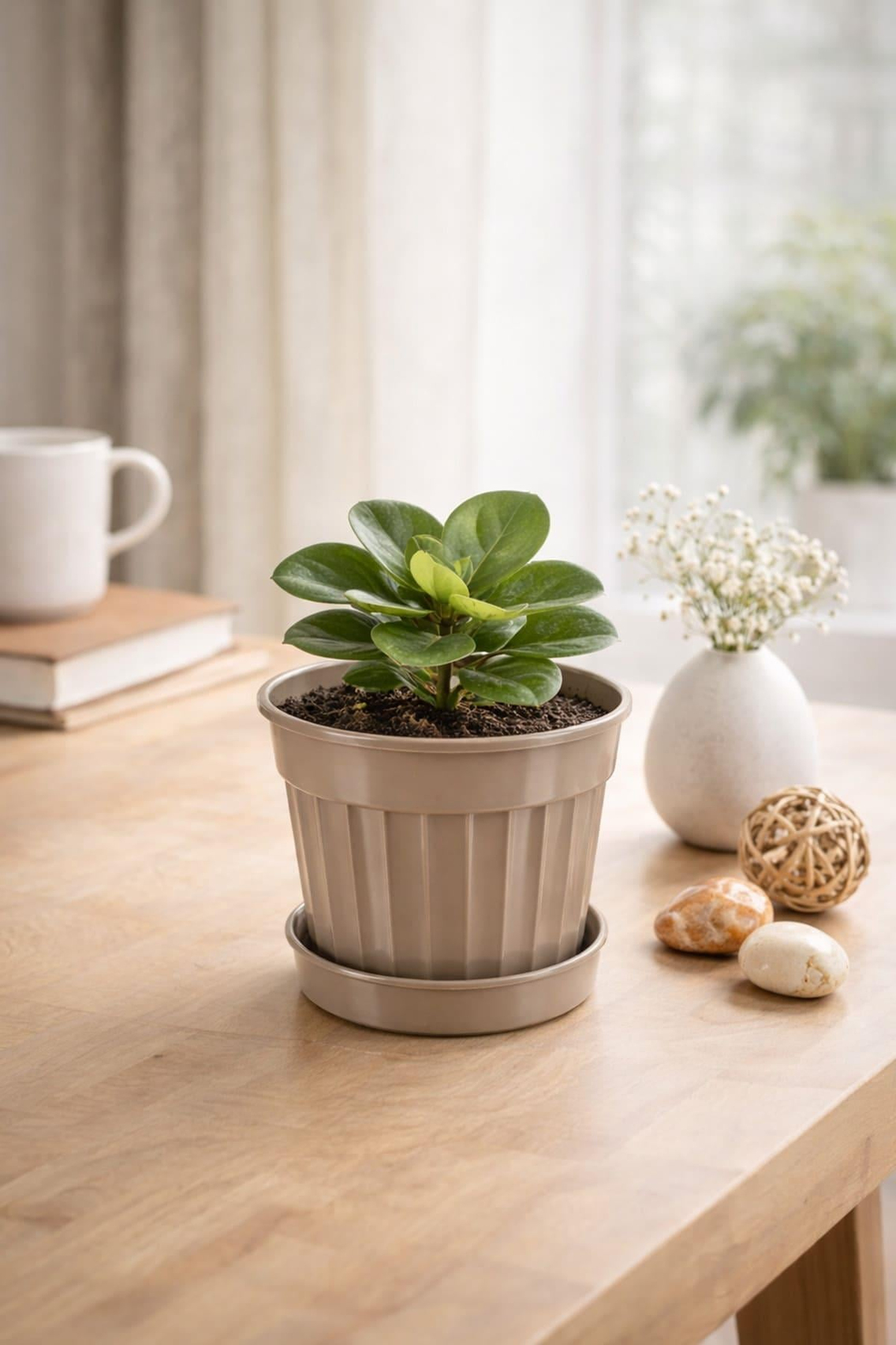 Serinova S204 Klasik Salon Çiçek ve Bitki Saksısı No:4 - 1.1 Litre | ID2871