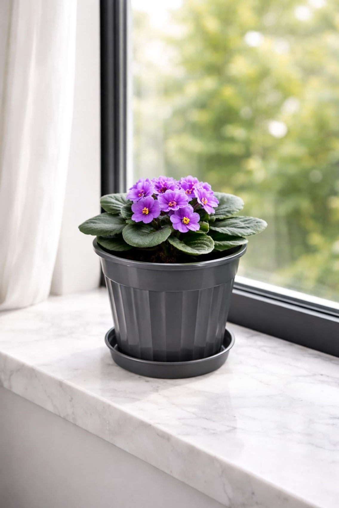 Serinova S205 Klasik Salon Çiçek ve Bitki Saksısı No:5 - 1.7 Litre | ID2872