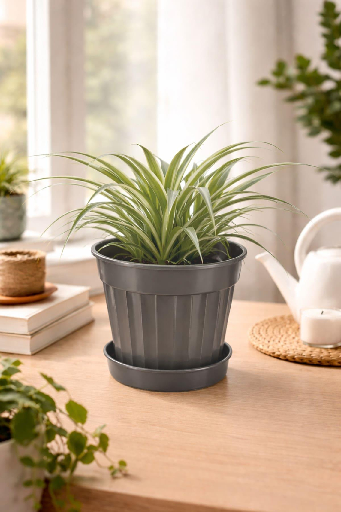 Serinova S206 Klasik Salon Çiçek ve Bitki Saksısı No:6 - 3 Litre | ID2873