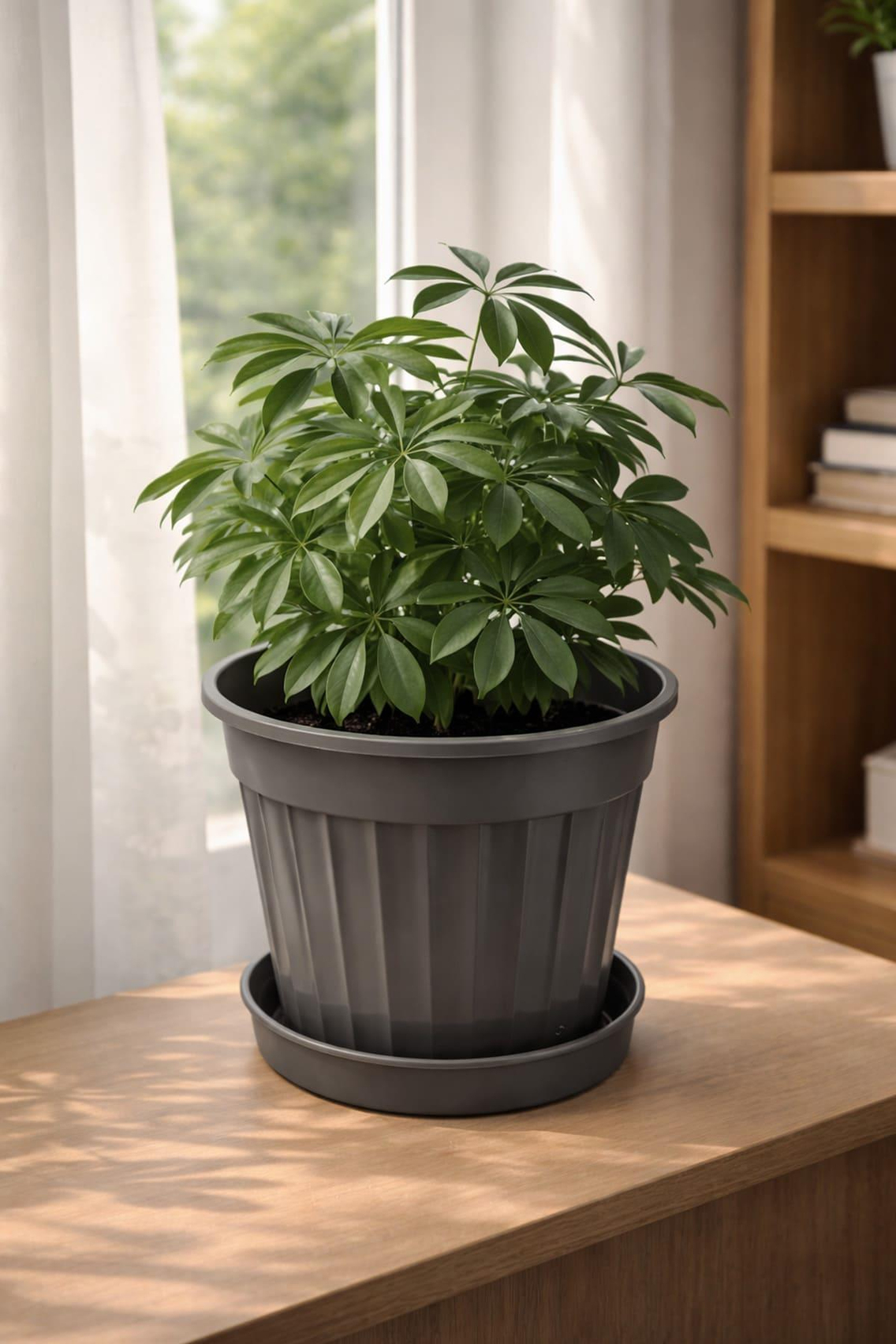 Serinova S207 Klasik Salon Çiçek ve Bitki Saksısı No:7 - 4 Litre | ID2874