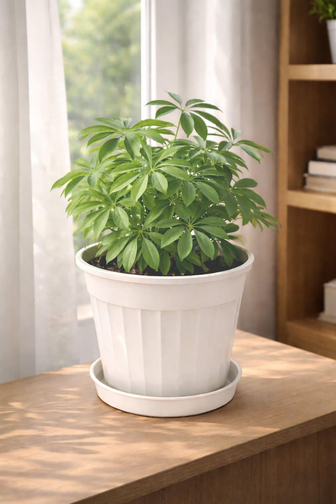Serinova S207 Klasik Salon Çiçek ve Bitki Saksısı No:7 - 4 Litre | ID2874
