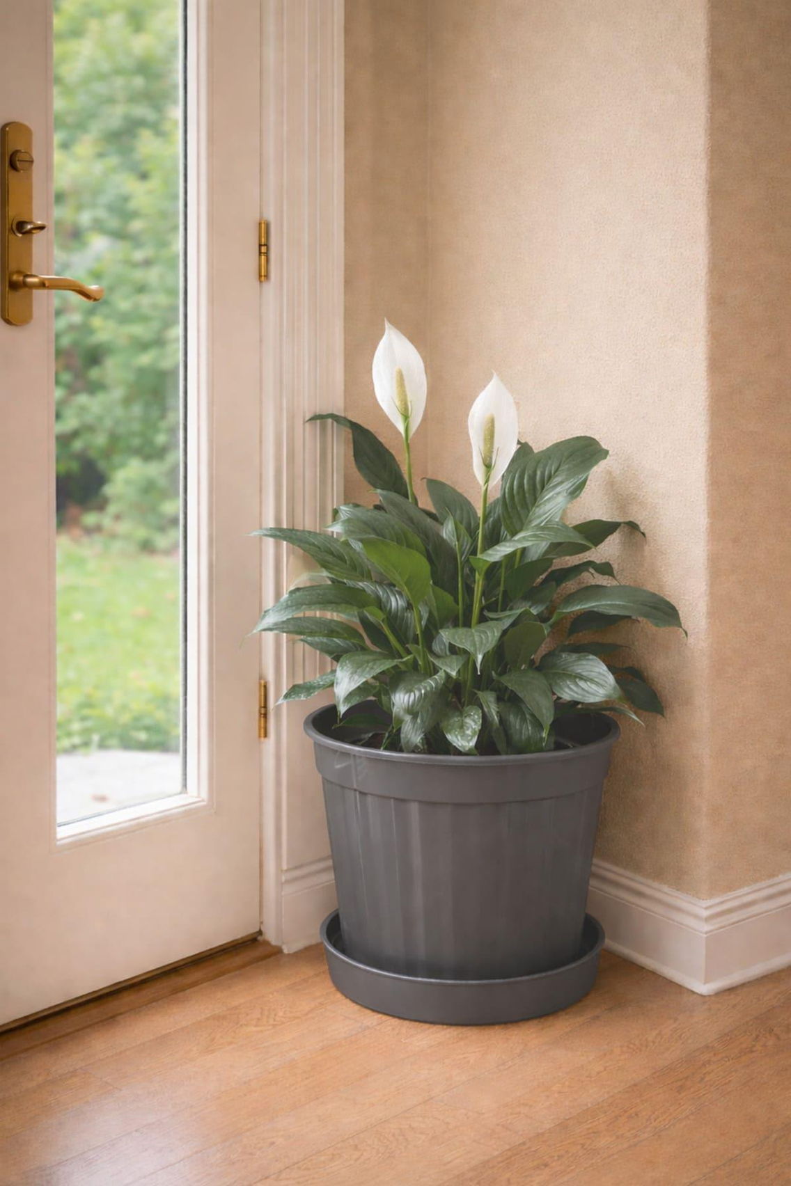 Serinova S210 Klasik Salon Çiçek ve Bitki Saksısı No:10 - 13 Litre | ID5533