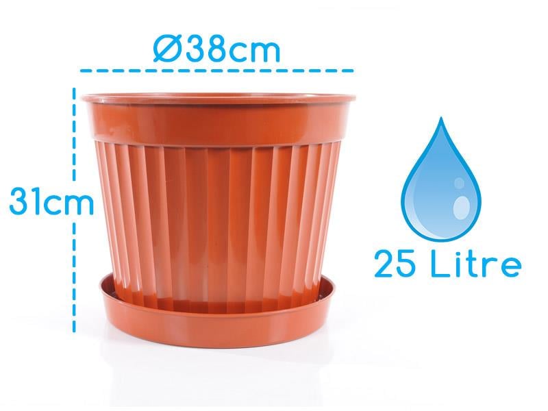 Serinova S212 Klasik Salon Saksı Yukka Benjamin Saksısı No:12 25Litre | ID4740