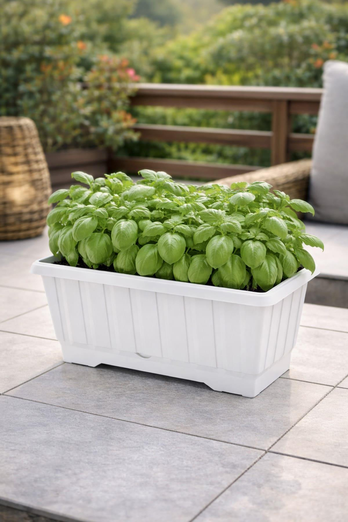 Serinova S231 Klasik Balkon Çiçek ve Bitki Saksısı No:1 - 4.3 Litre | ID2878