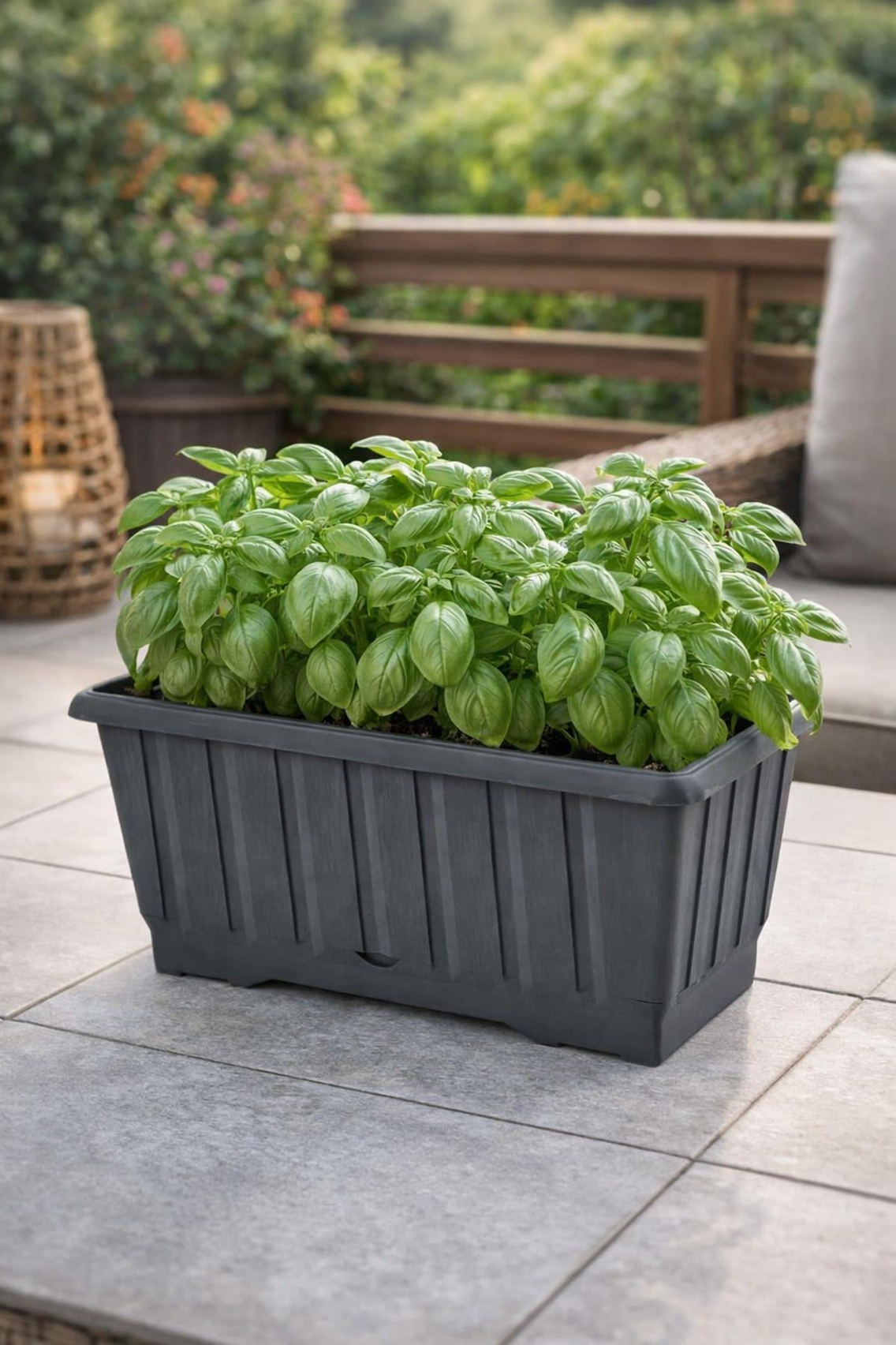 Serinova S231 Klasik Balkon Çiçek ve Bitki Saksısı No:1 - 4.3 Litre | ID2878