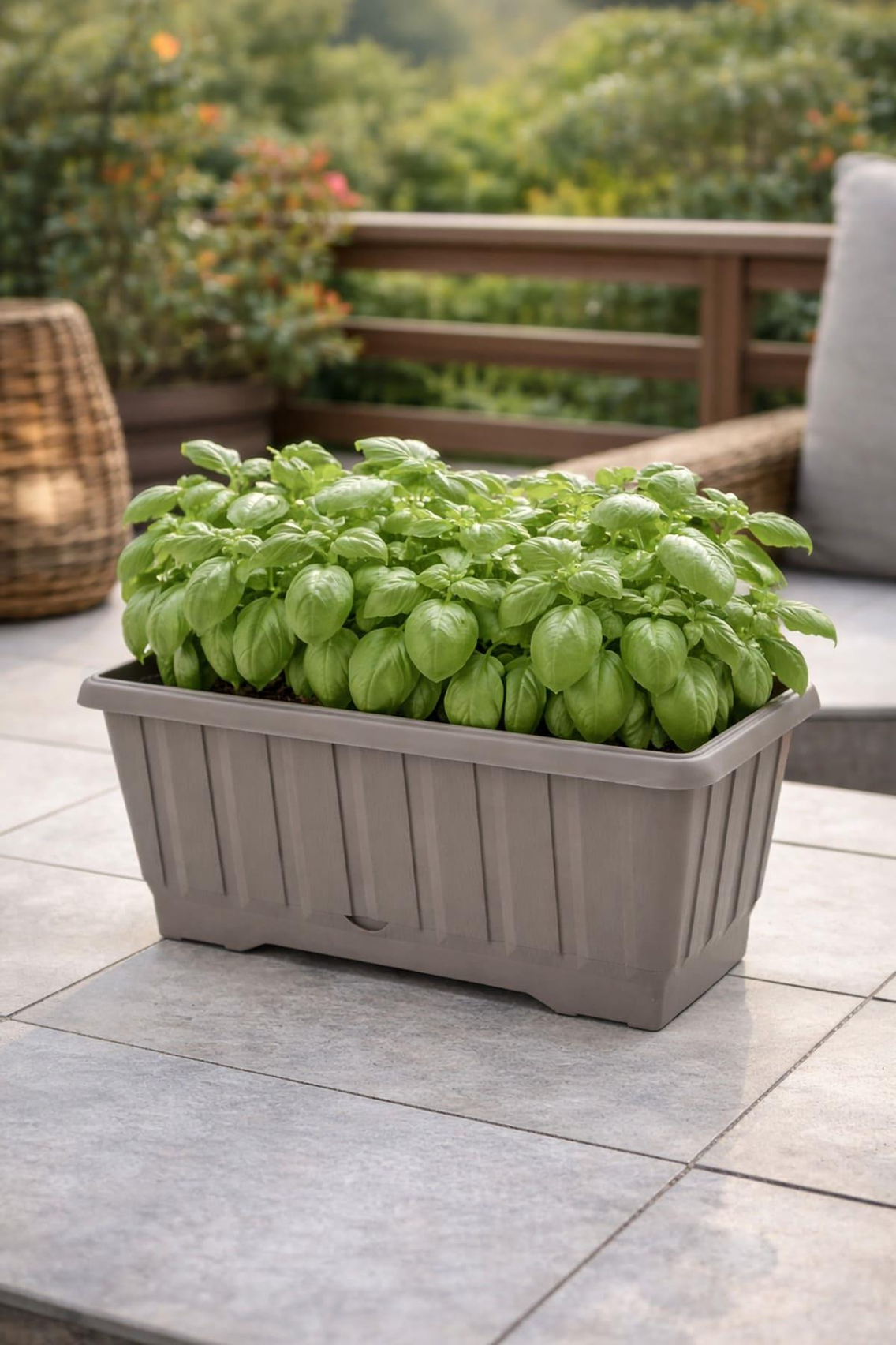 Serinova S231 Klasik Balkon Çiçek ve Bitki Saksısı No:1 - 4.3 Litre | ID2878