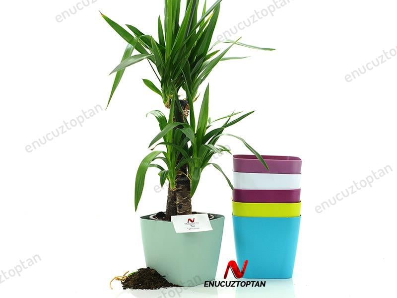 Serinova SF04 Safir Kare Saksı 5.6 Litre | ID1361